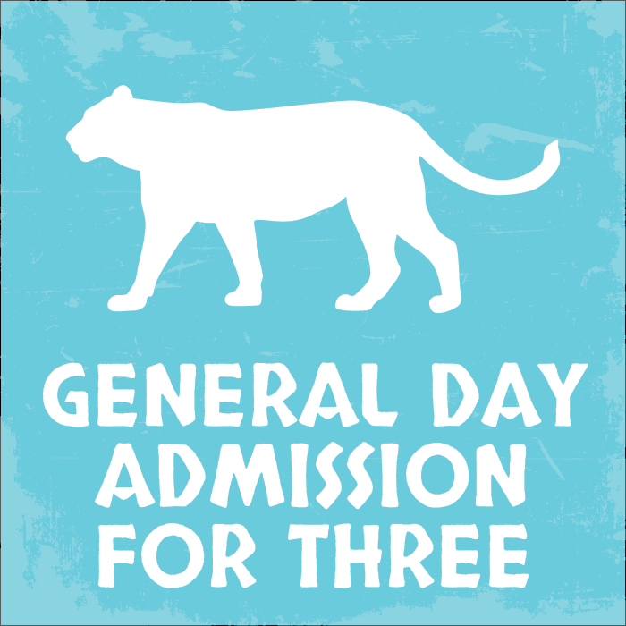 WagJag Single-Day Admission for 3 Tues-Thurs